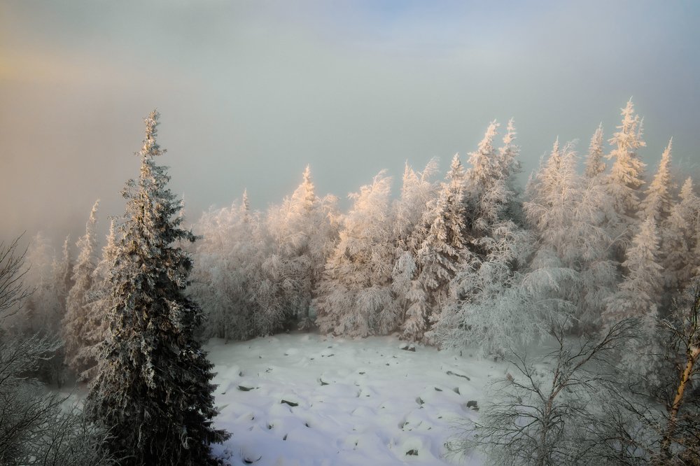 Photograph by Николай Диордиев