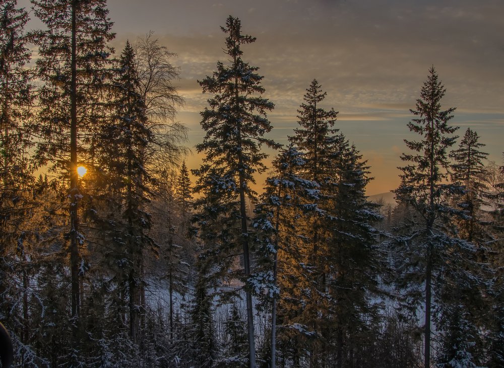 Photograph by Николай Диордиев