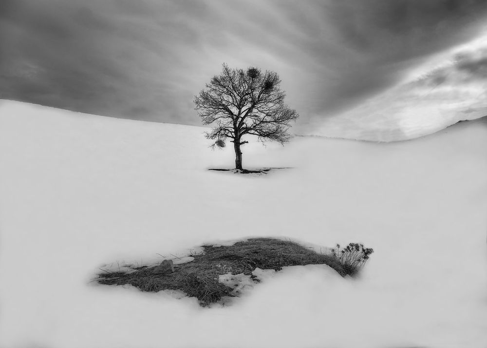 Photograph by Abbas Kalantar