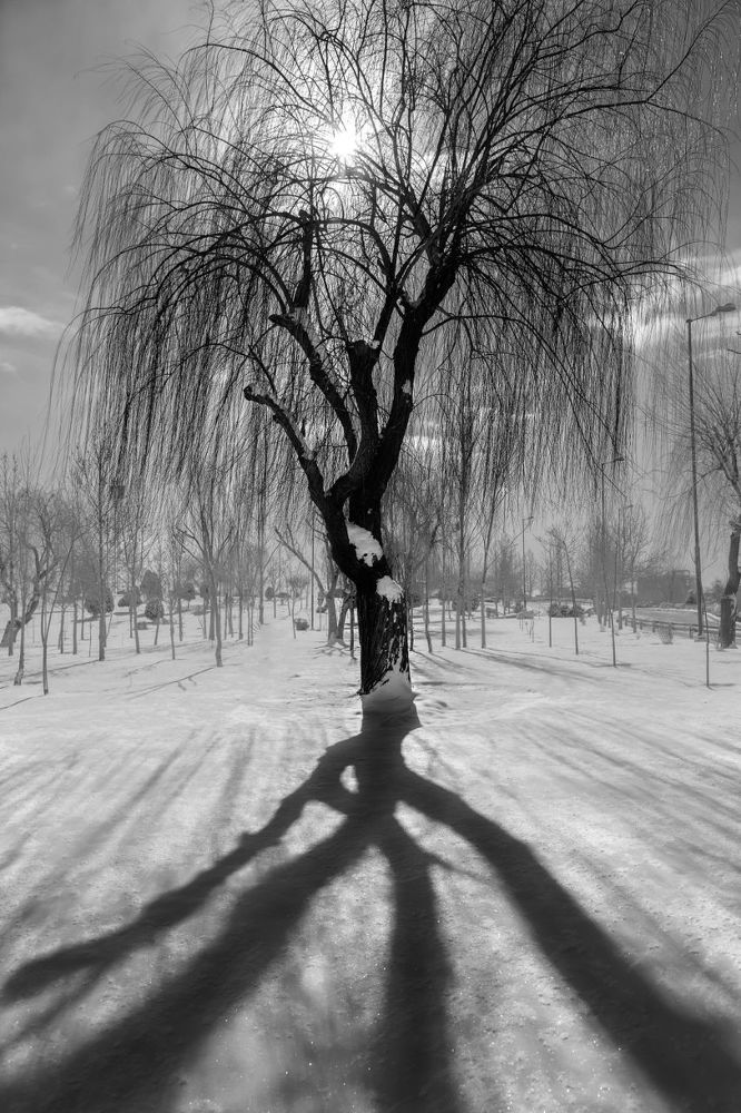 Photograph by Abbas Kalantar