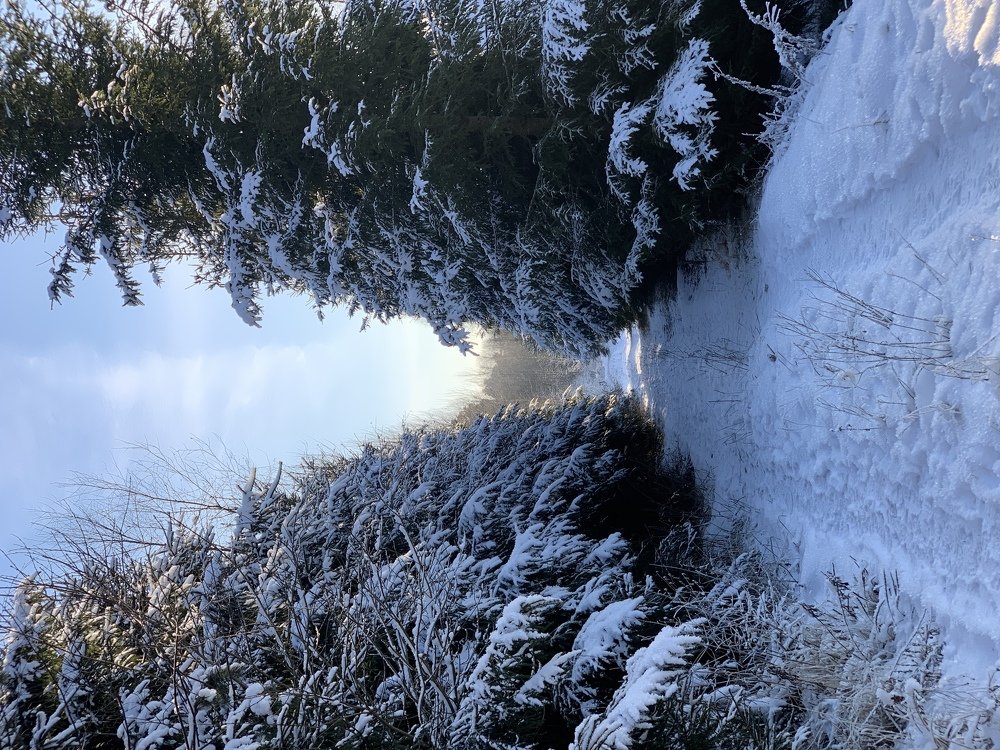 Дачные просторы