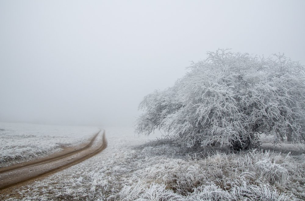 Дорога в никуда