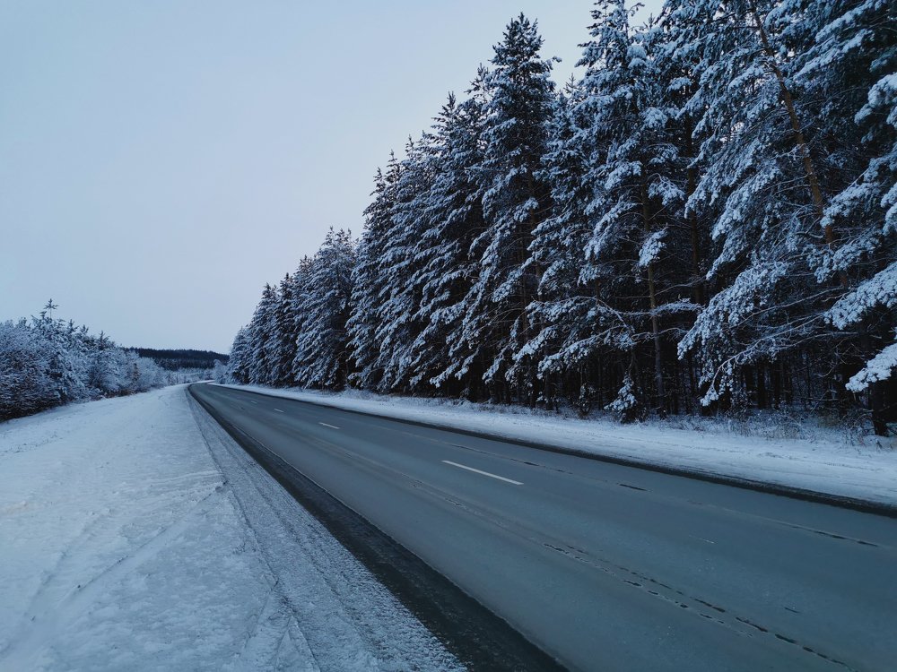 Photograph by Леся