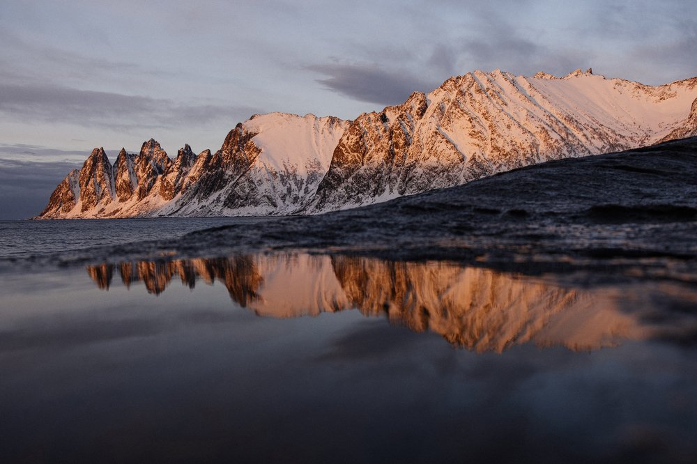 Фотография автора Marina Chirskova