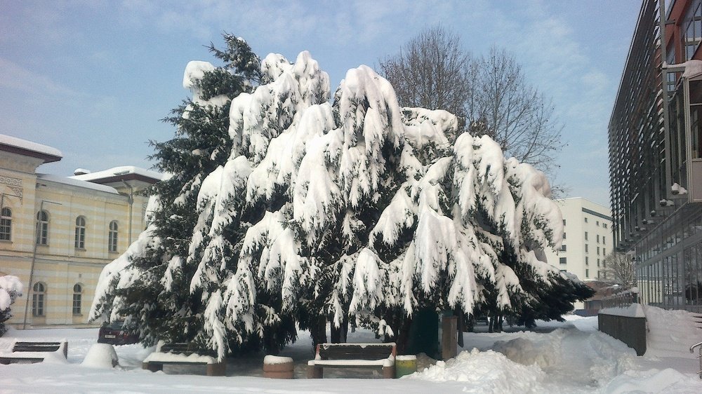 Фотография автора Danica Utjesinovic