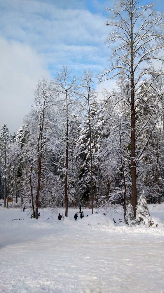 Фотография автора Danica Utjesinovic