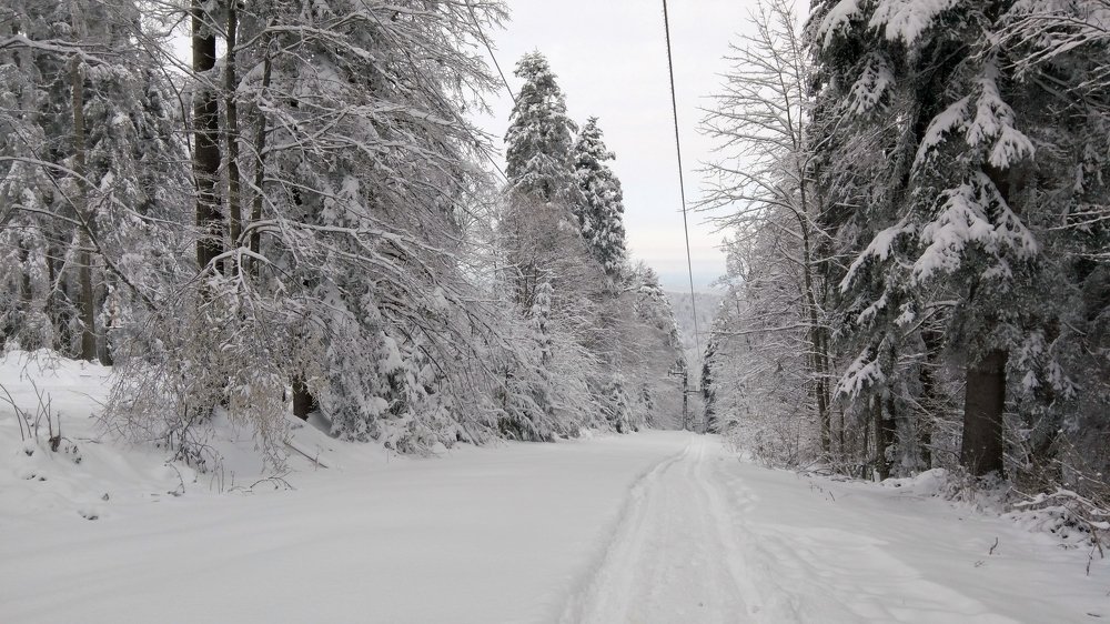 Фотография автора Danica Utjesinovic