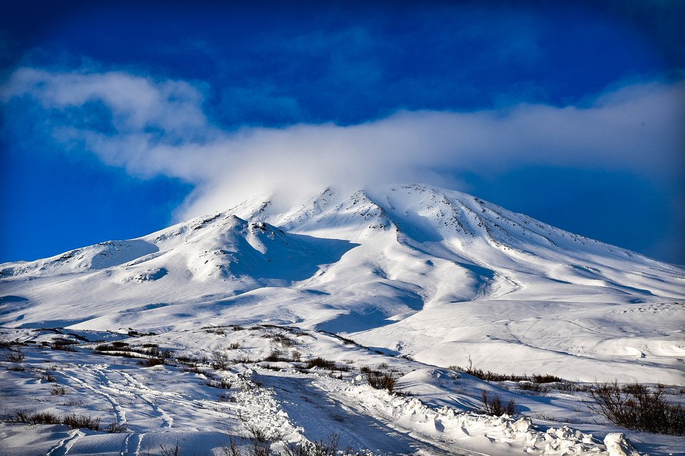 Photograph by Захар Петров