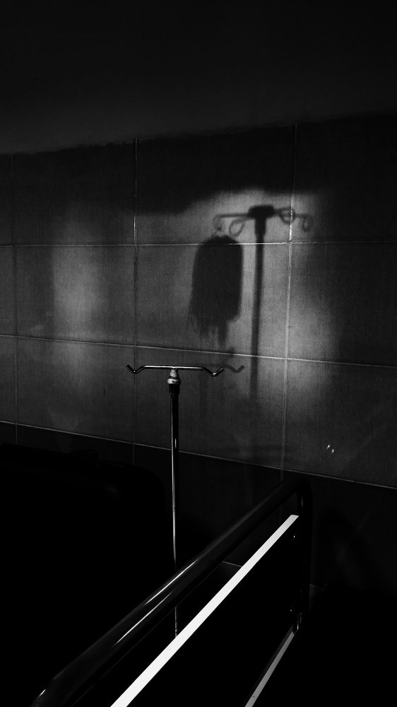 Photograph by Saeed Askari