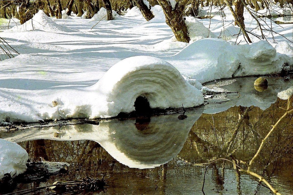 Photograph by Виктор Шандоров