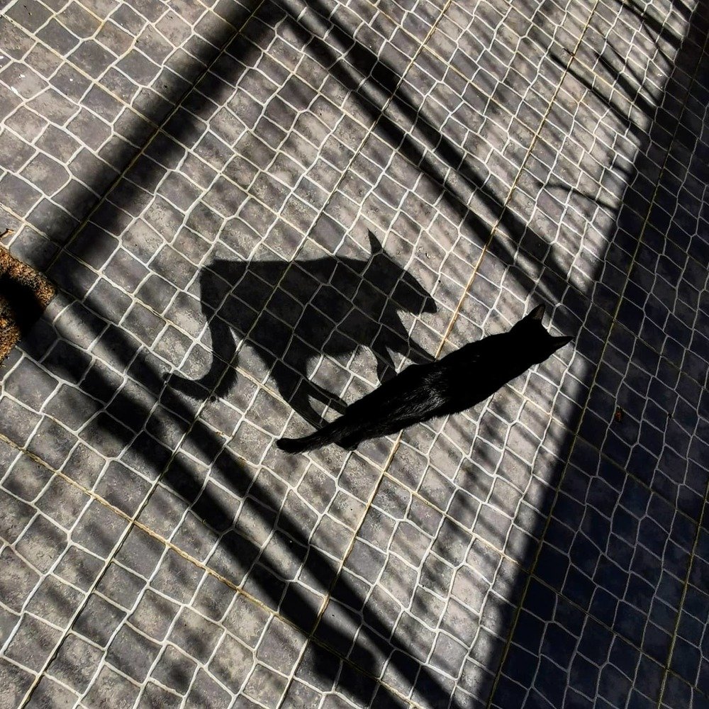 Photograph by Teresa Guerreiro