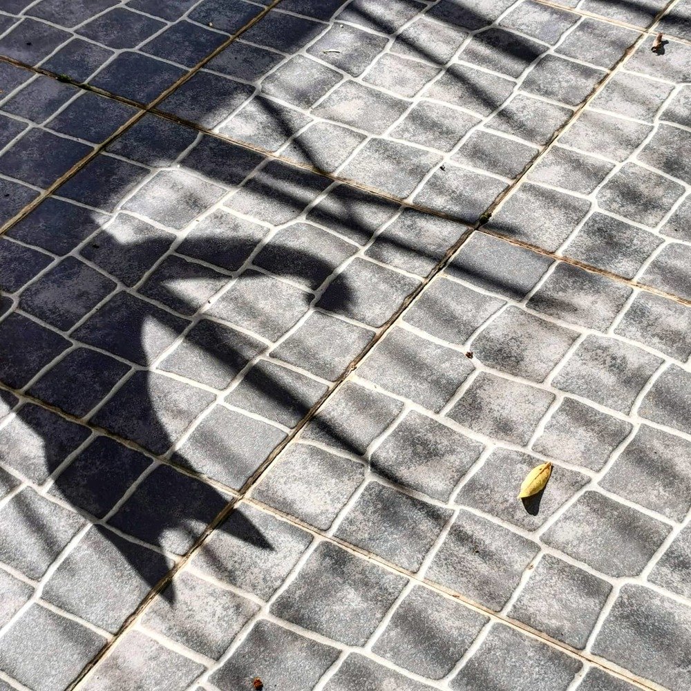 Photograph by Teresa Guerreiro