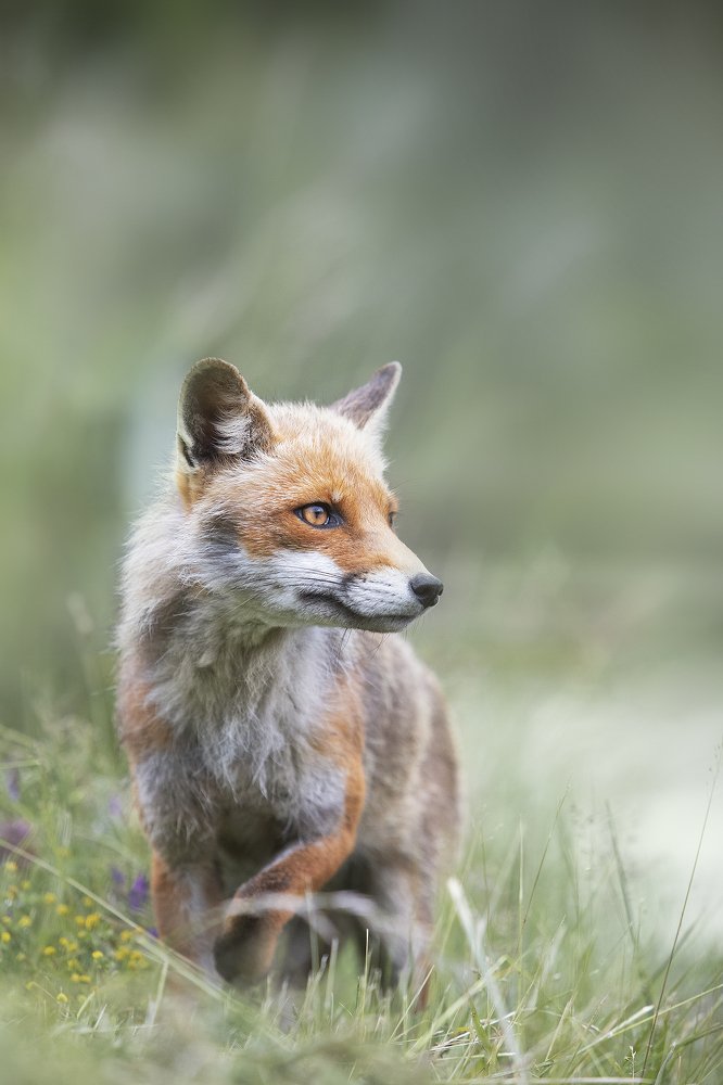 Photograph by Davide Giannetti