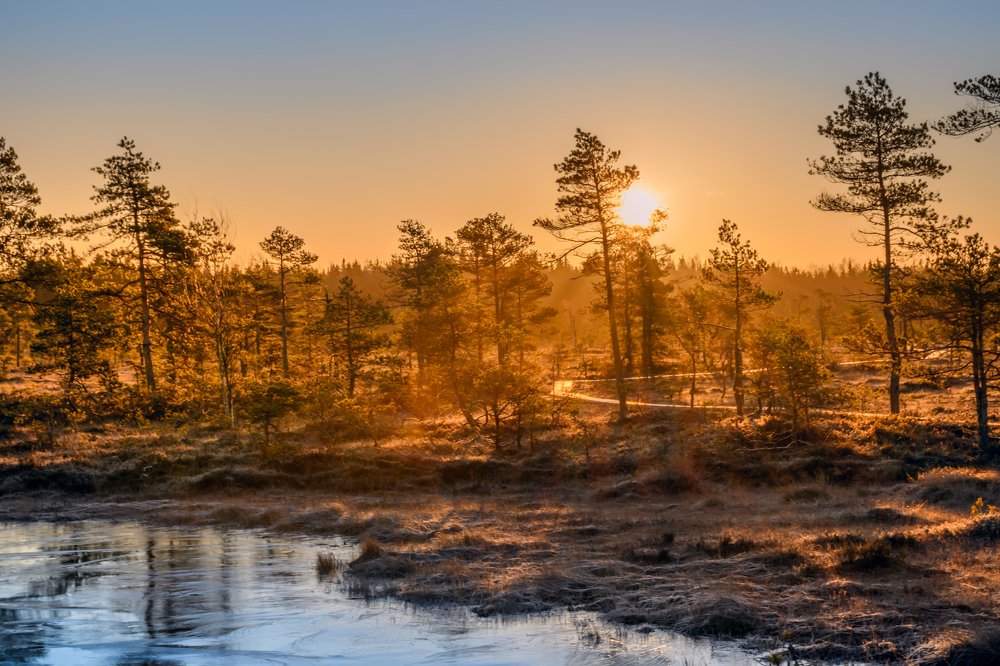 New day, the new beginning