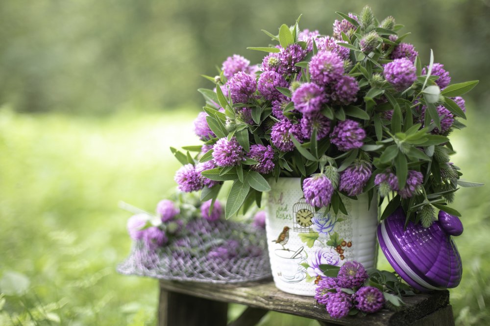 Photograph by Ольга Андреева