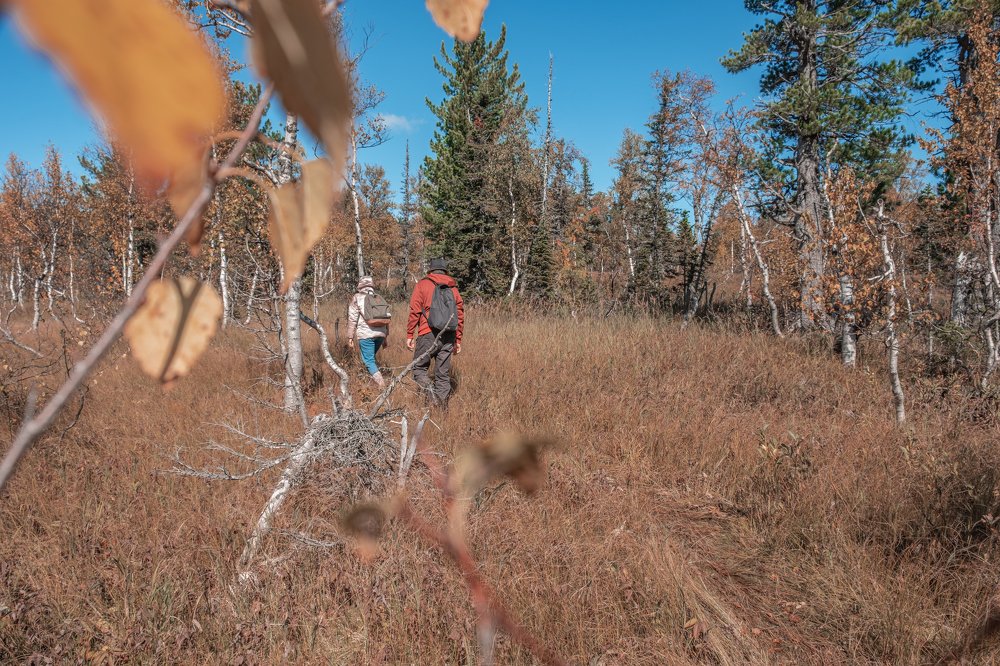 Любовь человека к человеку, любовь человека к природе!