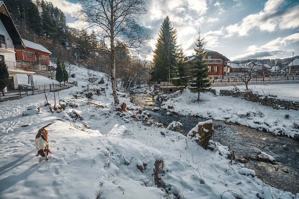 Photograph by Ирина Малина