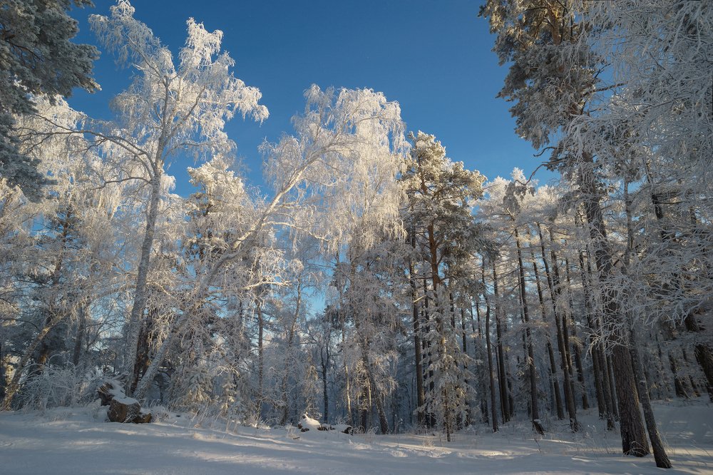 Ильменский заповедник