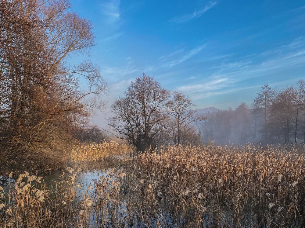The Shades of December Morning