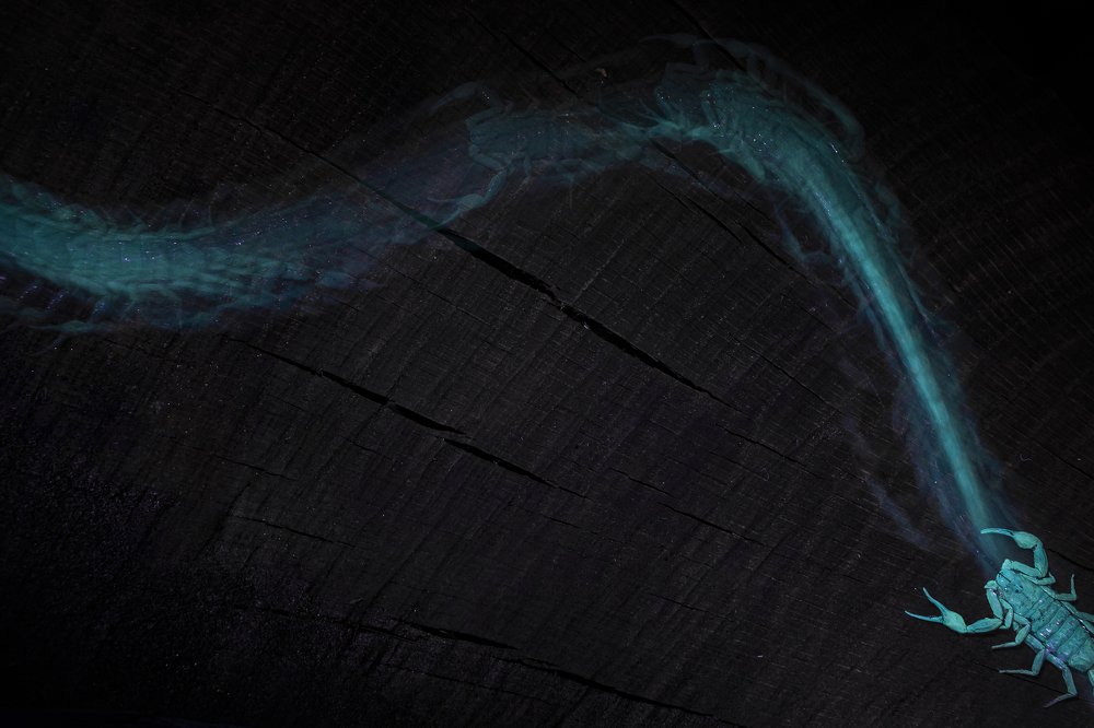 Photograph by FABIO SARTORI