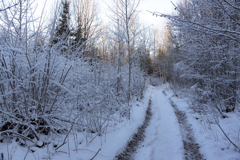 Photograph by Nikolay Isaakov