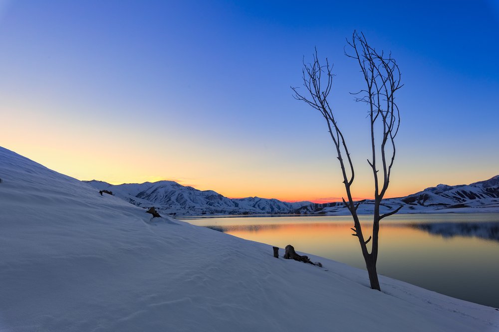 Photograph by Mahdi Sedaghi