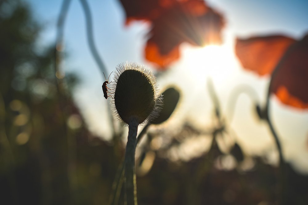 Photograph by Lucie Mojžíšová