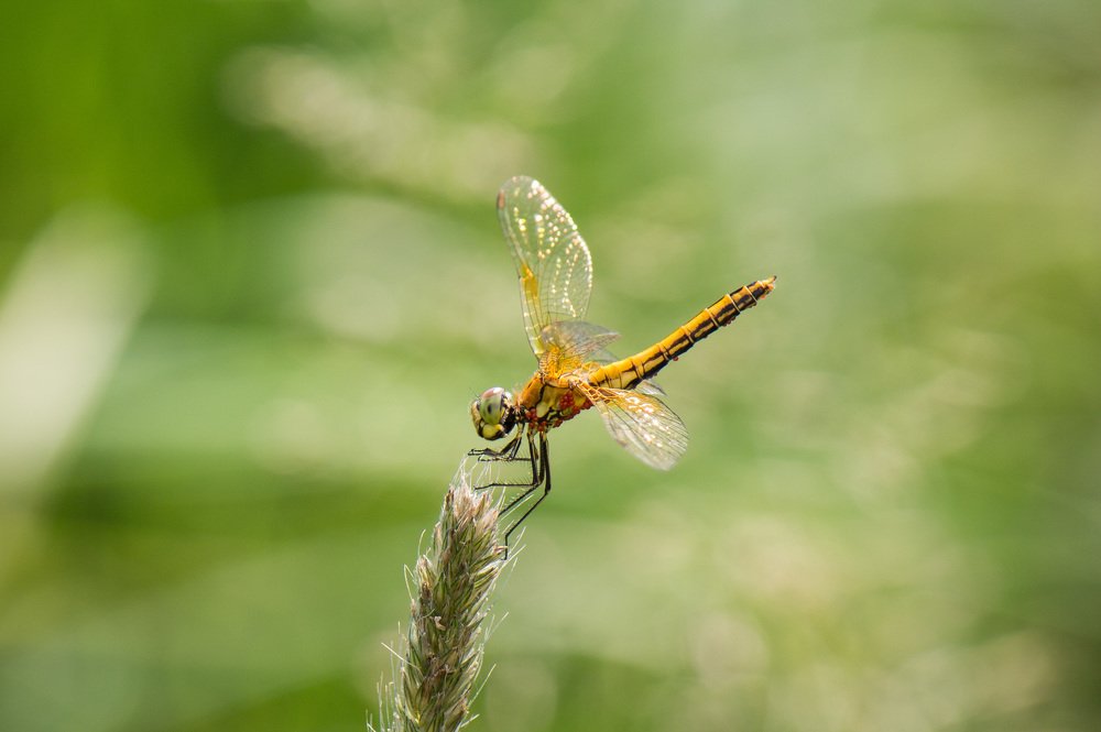 Photograph by Светлана Седых