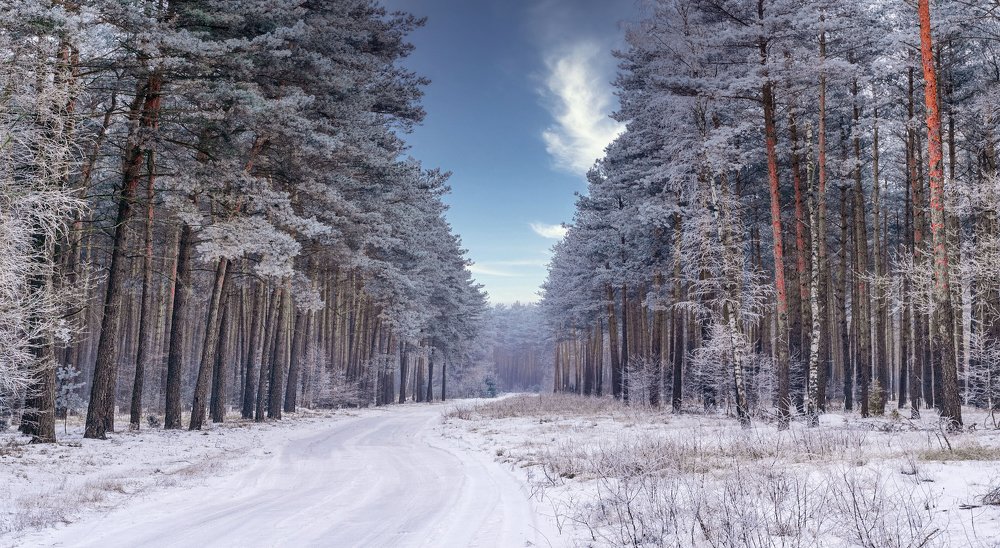 First touch of winter