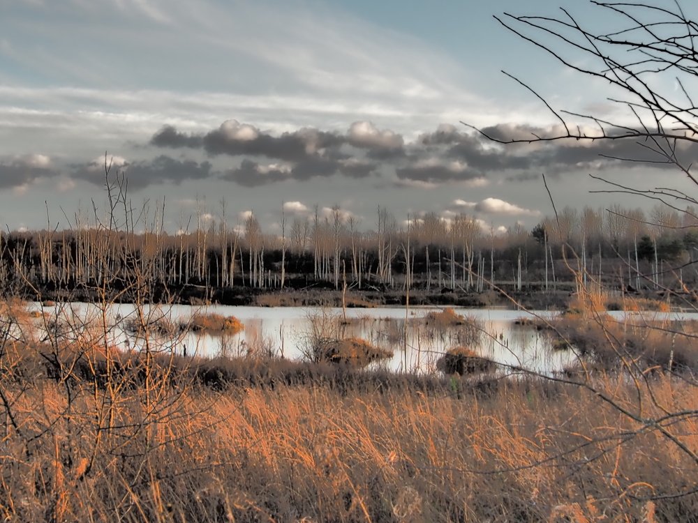 Photograph by Иван Скрипкин