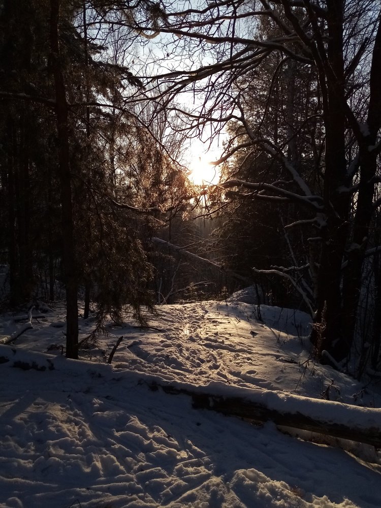 Зимняя сказка