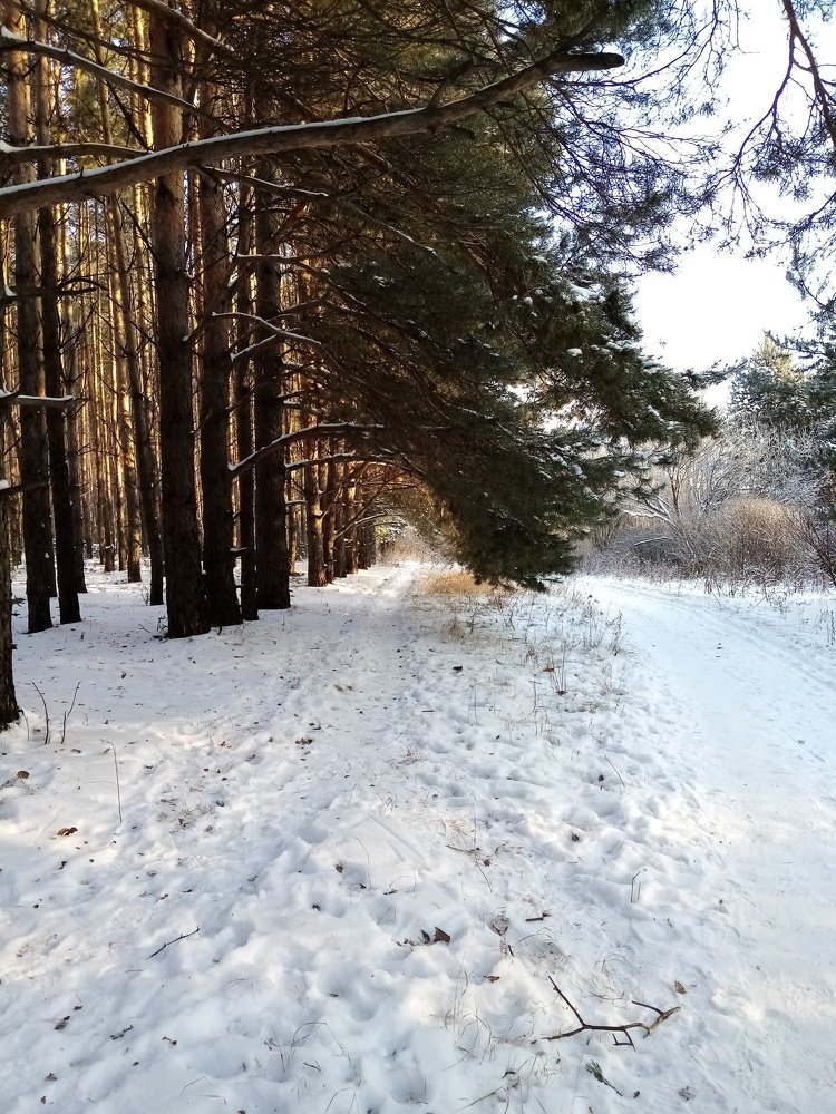 Photo #5401753