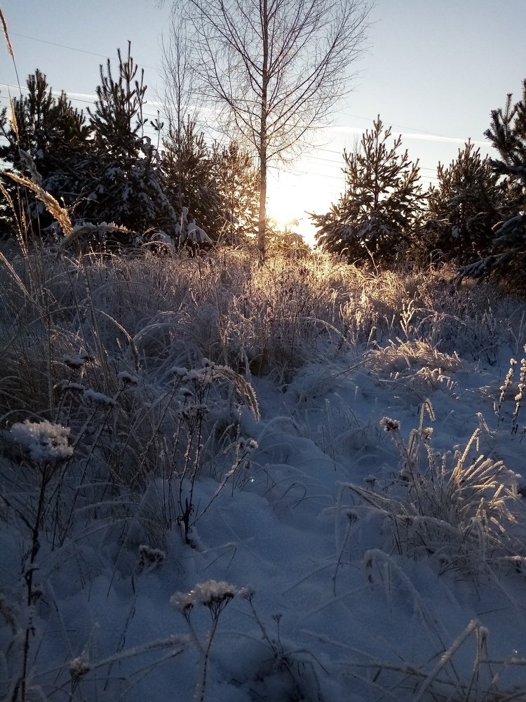Photo #5401770
