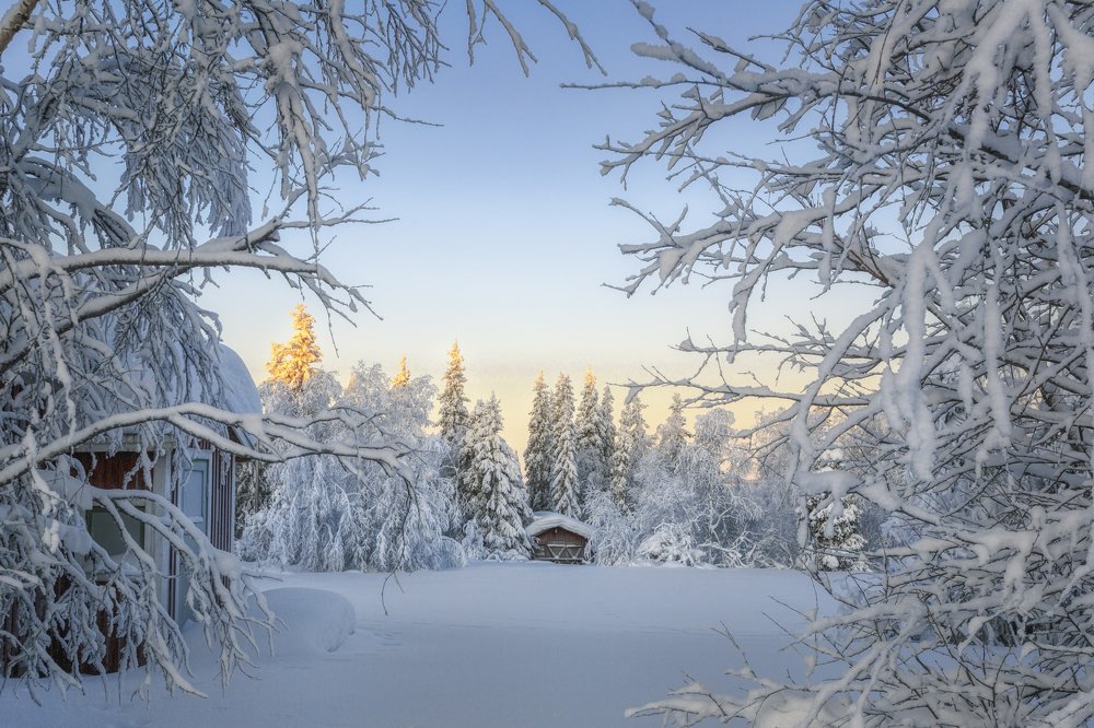 Photograph by Владимир Колесников