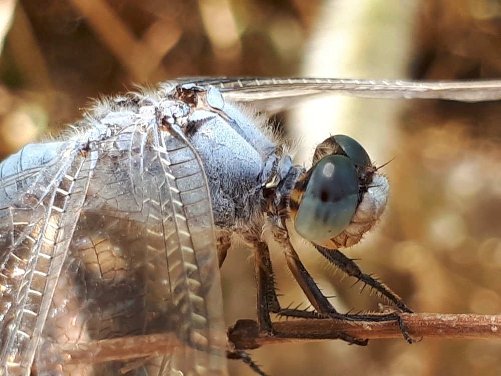 Photograph by Hossein Azizian