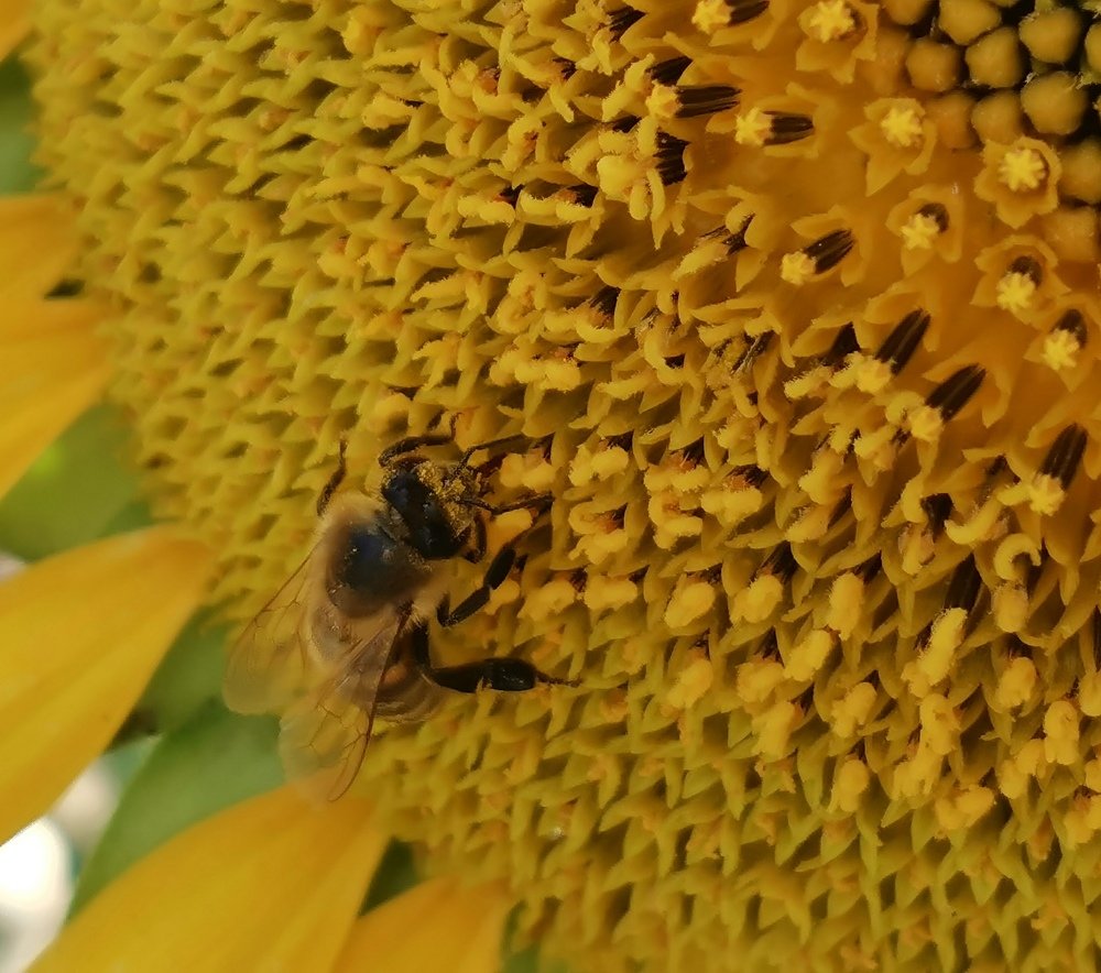 Photograph by Елена Акимова