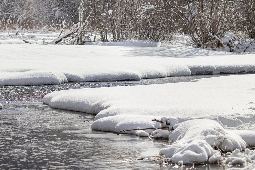Photograph by Татьяна Бесчастнова