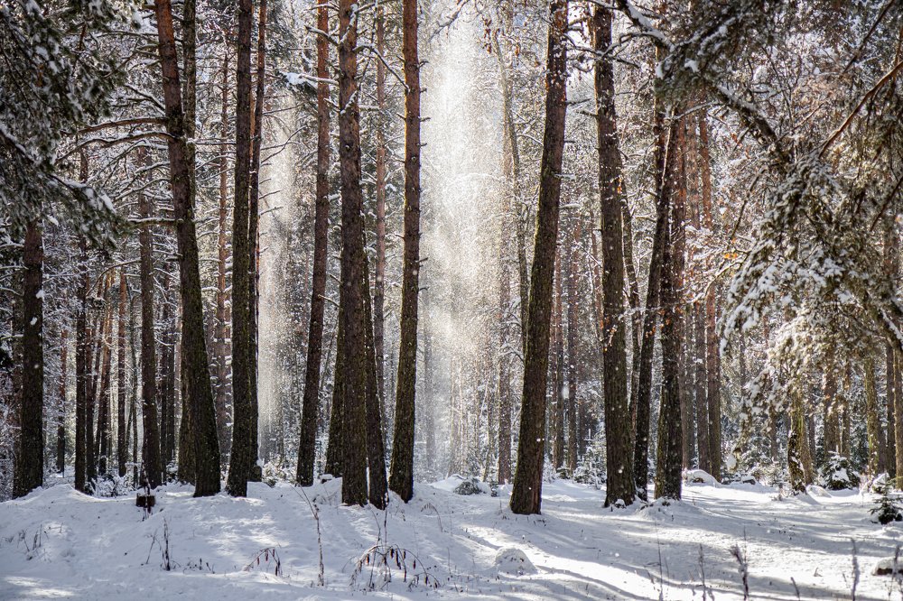 Photograph by Татьяна Бесчастнова