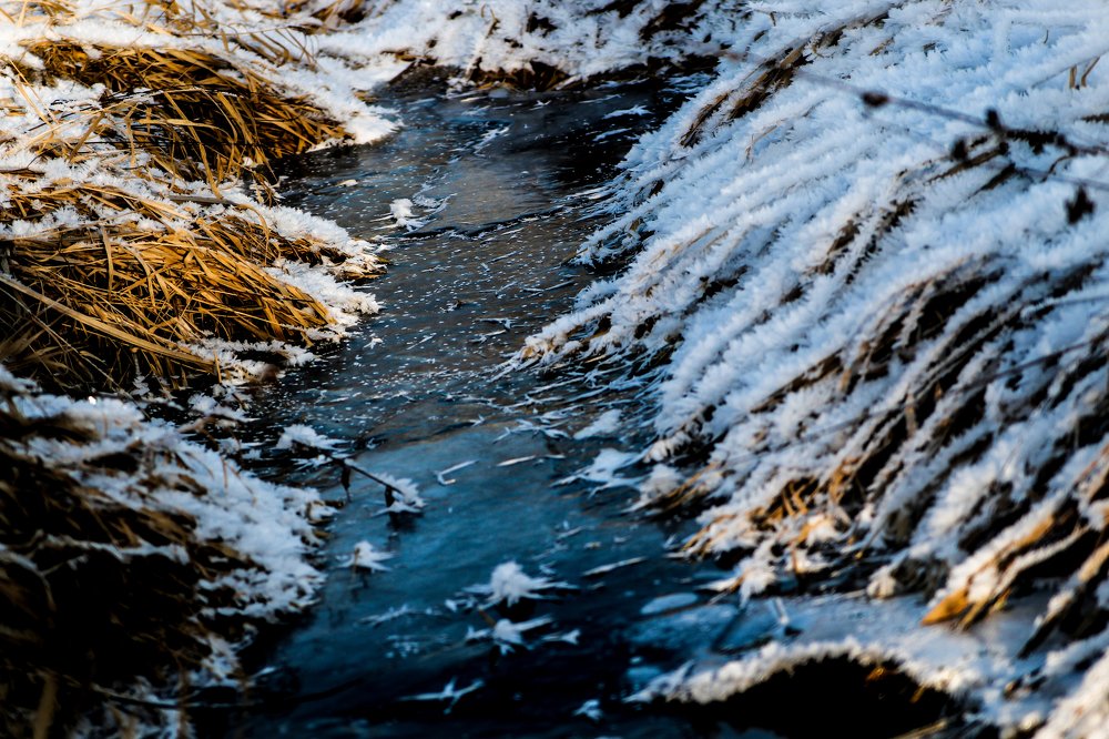 Photograph by Евгения