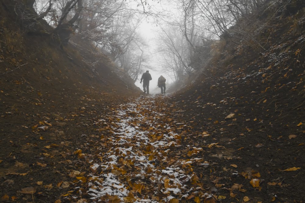 Фотография автора Magda Mushkudiani