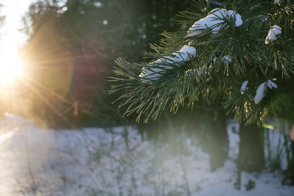 Photograph by Toma Samuole