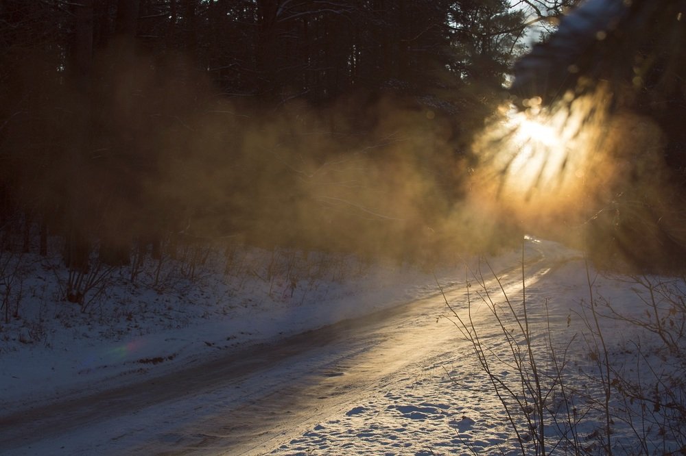 Photograph by Toma Samuole