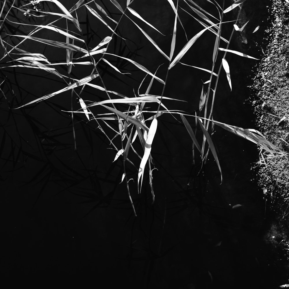 Photograph by Александр
