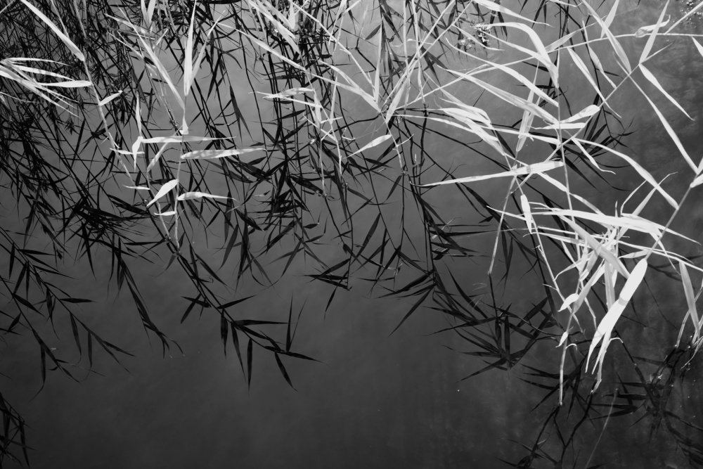 Photograph by Александр