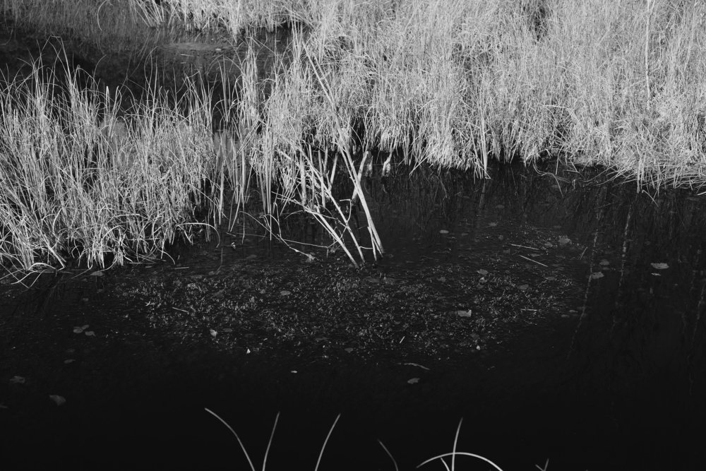 Photograph by Александр