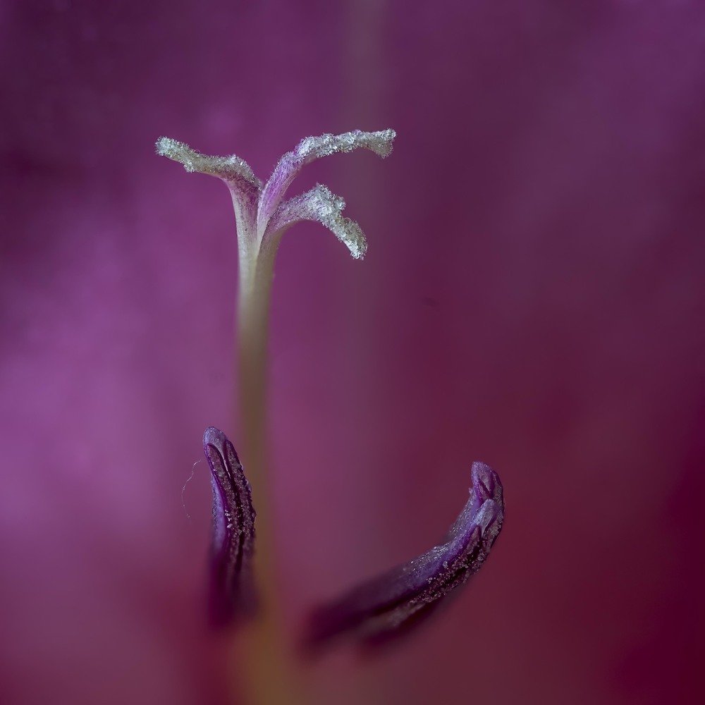 Photograph by ken duke