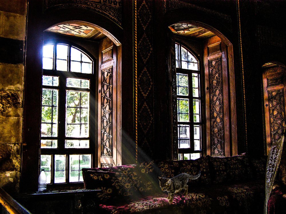 Photograph by Mozhgan Sadeghi