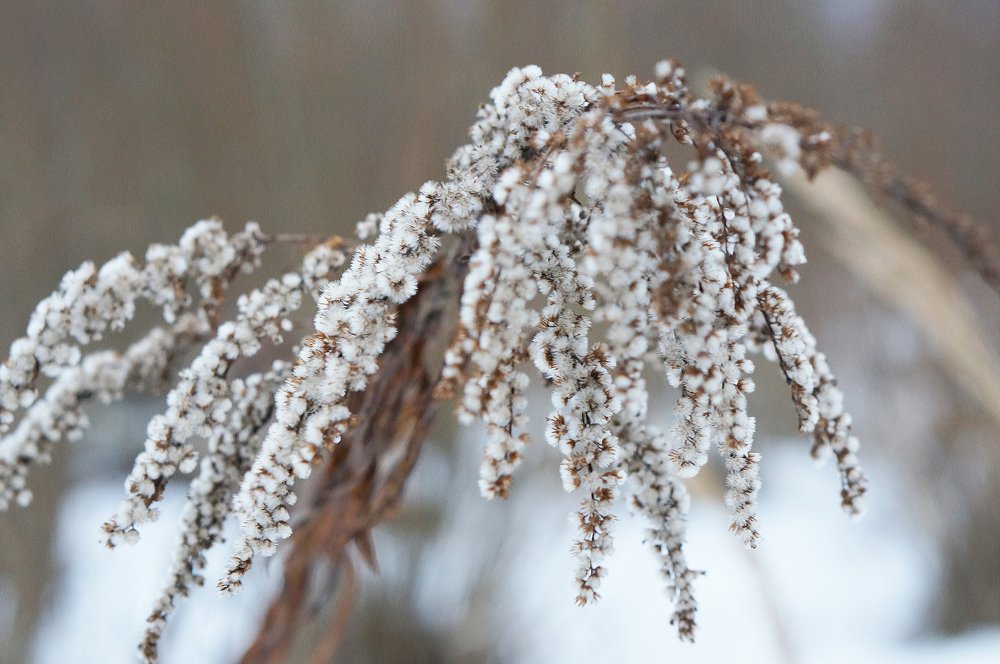 Photograph by Алексей Аедоницкий