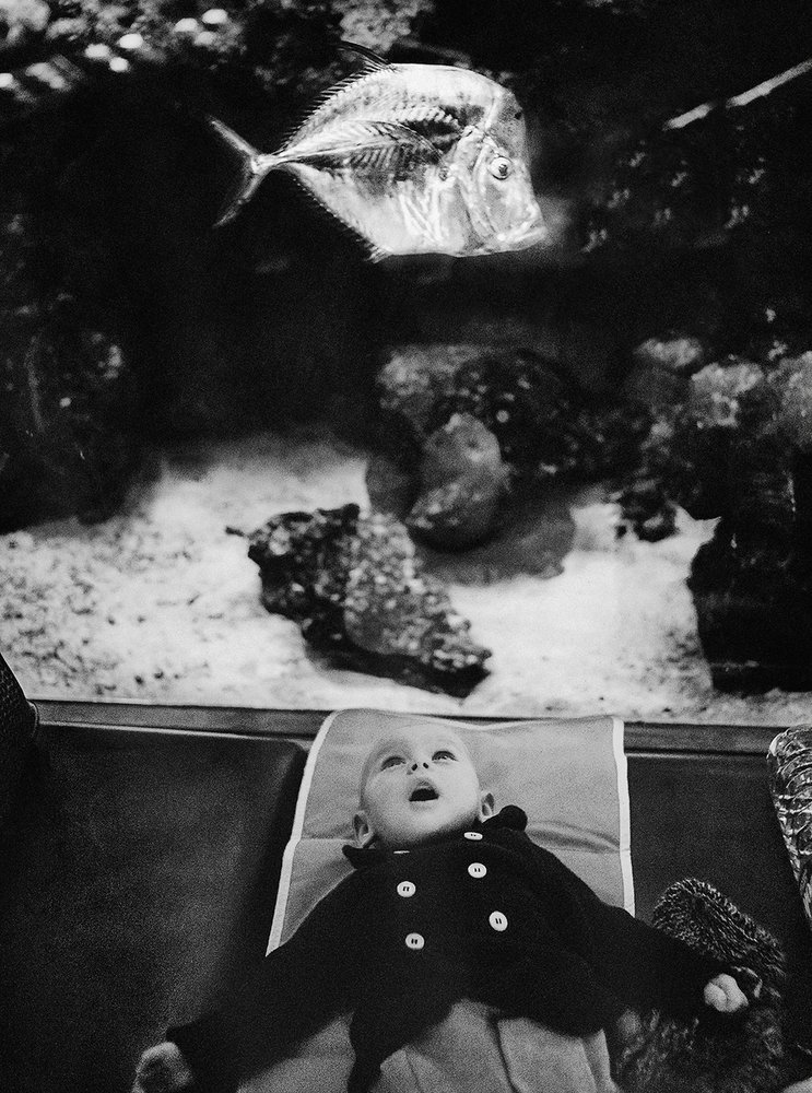 Photograph by Ruslan Hrushchak