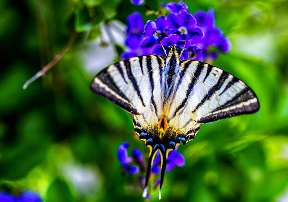 Фотография автора Turgay Uykusuz